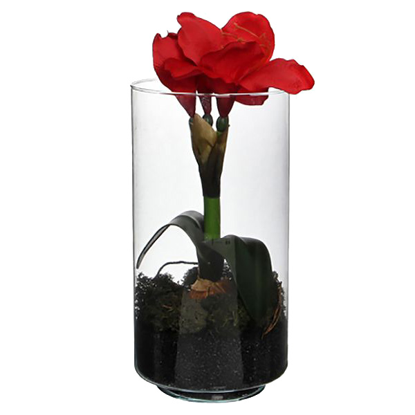 фото Амариллис в стеклянном стакане, красный, 30 см, edelman, арт. 950245