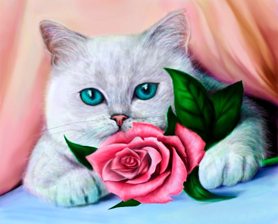 

Алмазная вышивка Алмазное Хобби Кот и роза, 30x40 см, Кот и роза