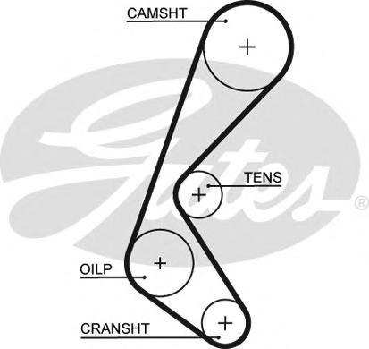 

Ремень грм Gates 5628XS