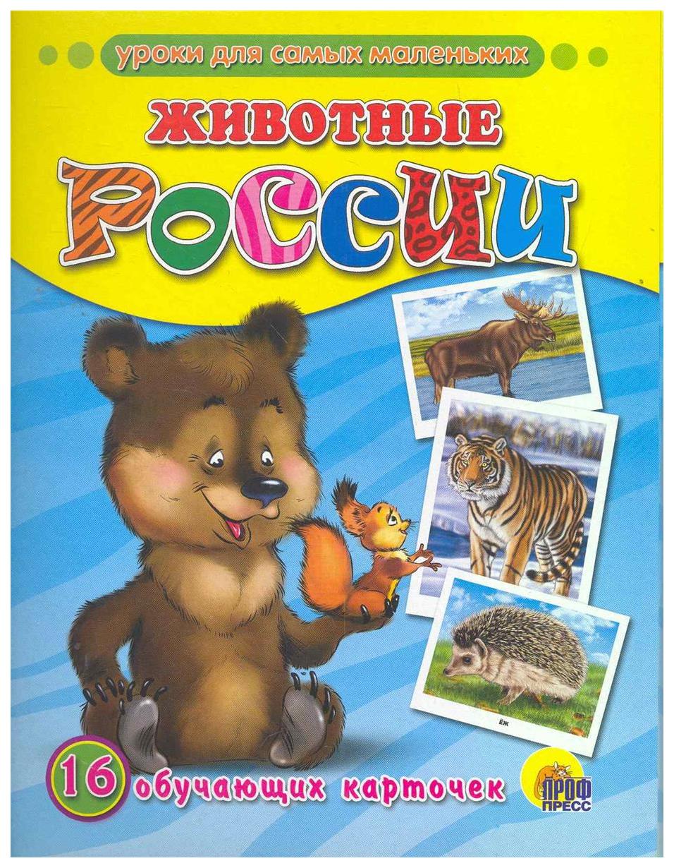 Обучающие карточки. Уроки для самых маленьких животные России 16 обучающих карточек. Обучающие карточки проф пресс животные Россия. Обучающие карточки 