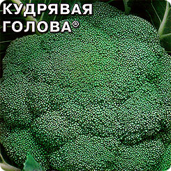 

Семена Капуста брокколи Кудрявая голова, 0,5 г, СеДеК, 53953