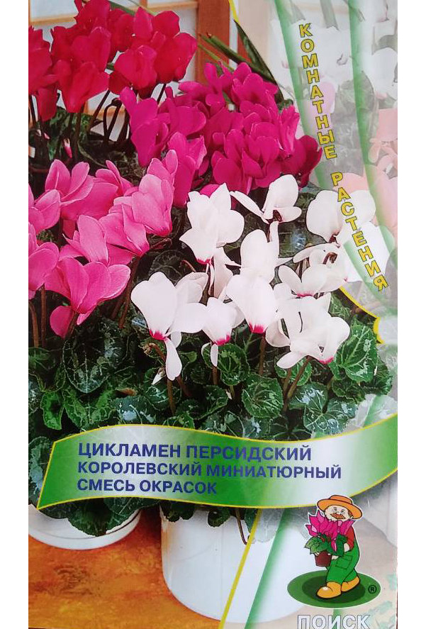 

Семена цикламен Поиск Королевский миниатюрный 124222 1 уп.