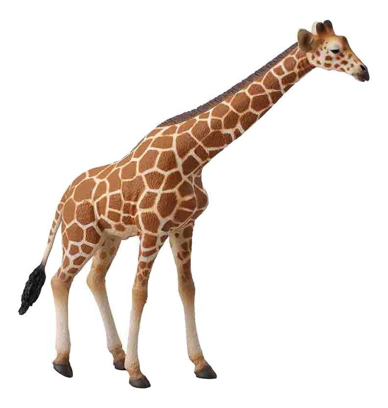 фото Фигурка collecta сетчатый жираф, xl