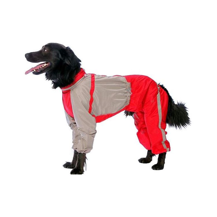 фото Комбинезон для собак тузик родезийский риджбек мужской, в ассортименте, длина спины 68 см