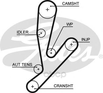 фото Ремень грм gates 5592xs