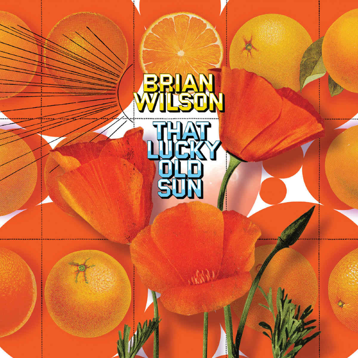 

Brian Wilson "That Lucky Old Sun"