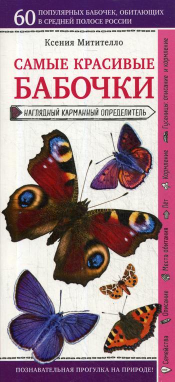 

Книга Самые красивые Бабочки