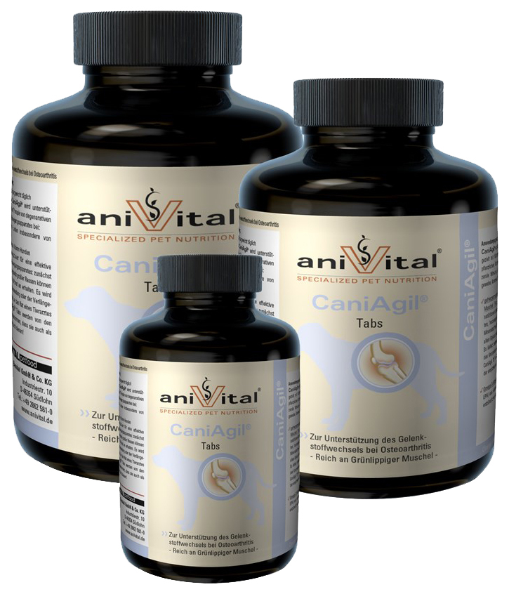

Витаминный комплекс для собак, для кошек Anivital CaniAgil, для суставов 225 таб, CaniAgil