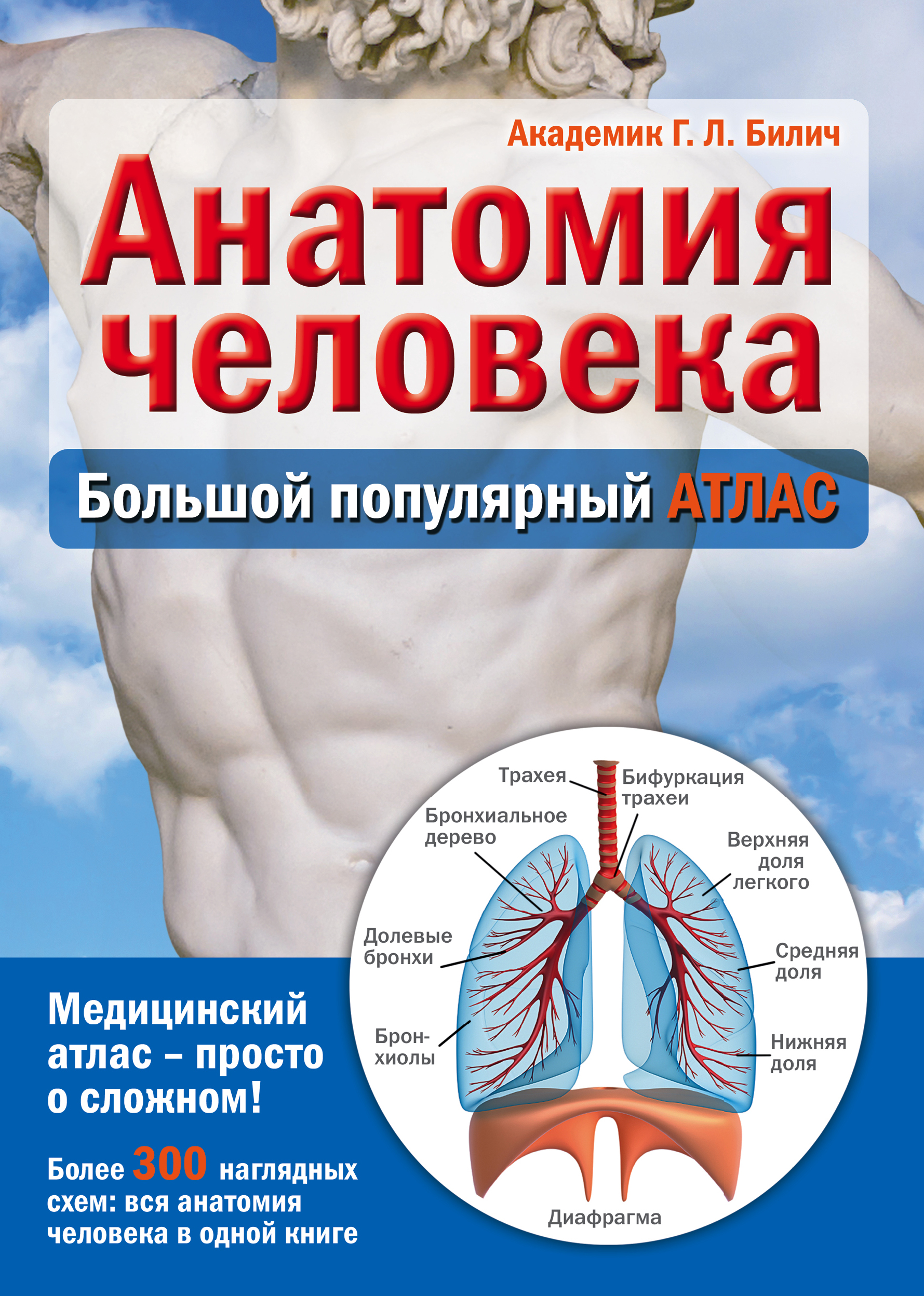 фото Книга анатомия человека: большой популярный атлас эксмо