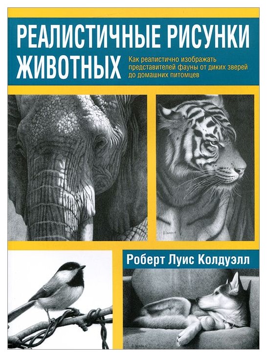 

Реалистичные Рисунки Животных