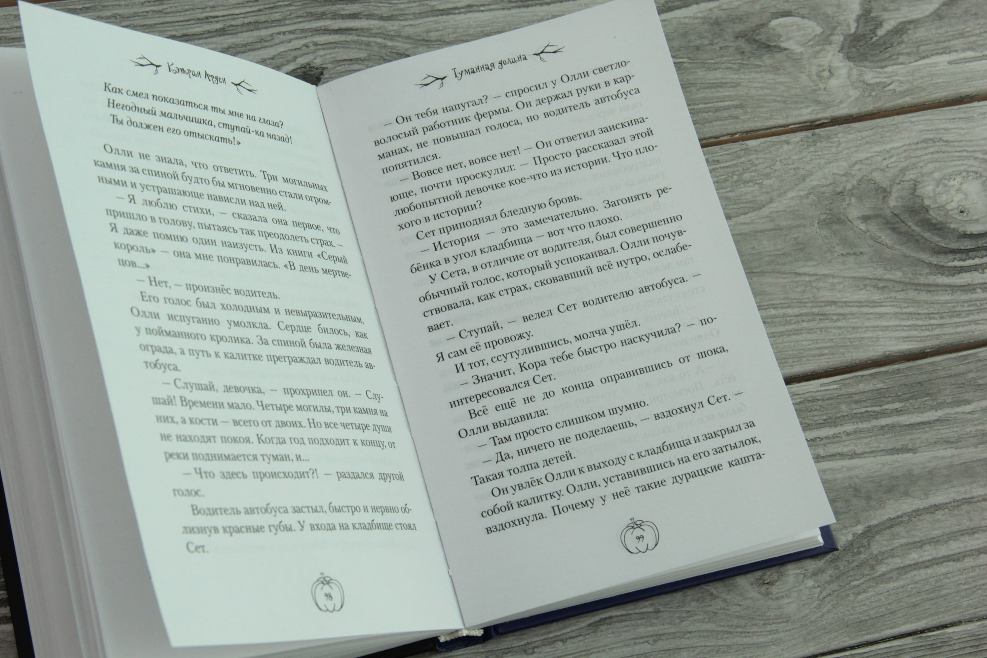 

Книга Туманная Долина