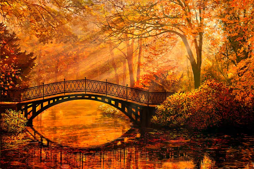 

Алмазная вышивка Алмазное Хобби Осенний парк, 40x60 см, Осенний парк