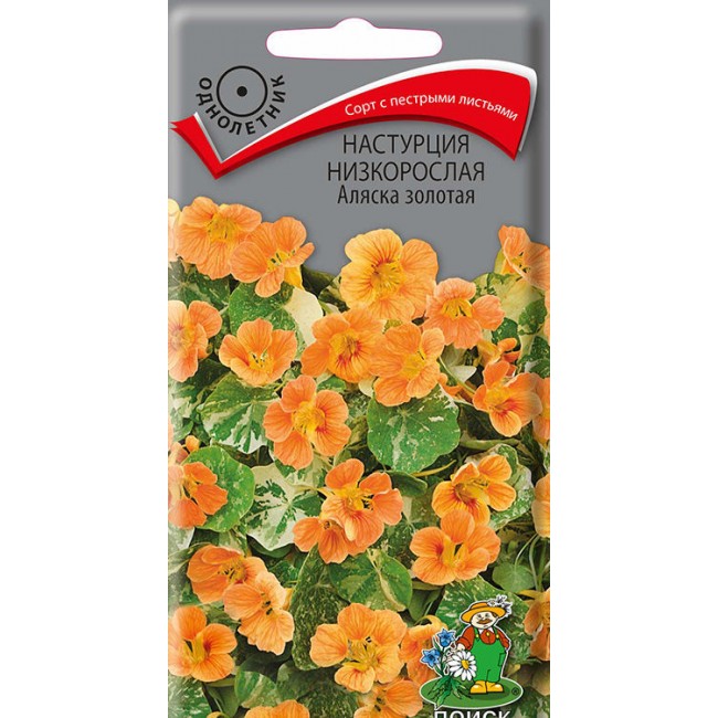 

Семена настурция Поиск Аляска Золотая 165626 1 уп.