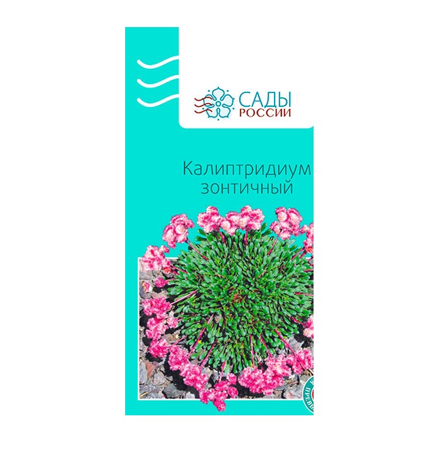 

Семена Калиптридиум Зонтичный, 10 шт, Сады России