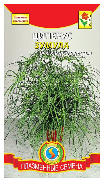 

Семена Циперус Зумула, 0,01 г Плазмас