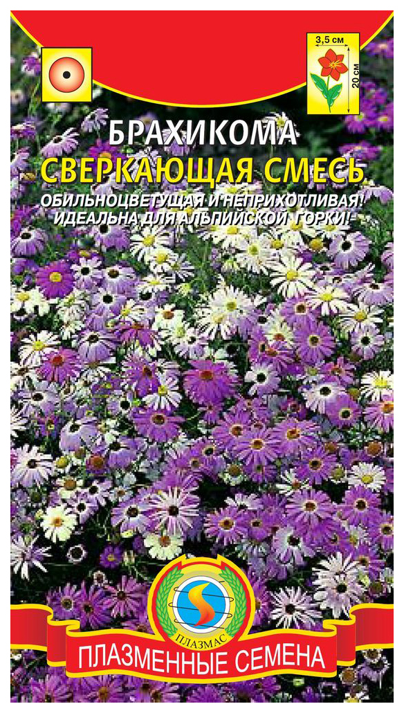

Семена Брахикома Сверкающая, Смесь, 0,05 г Плазмас