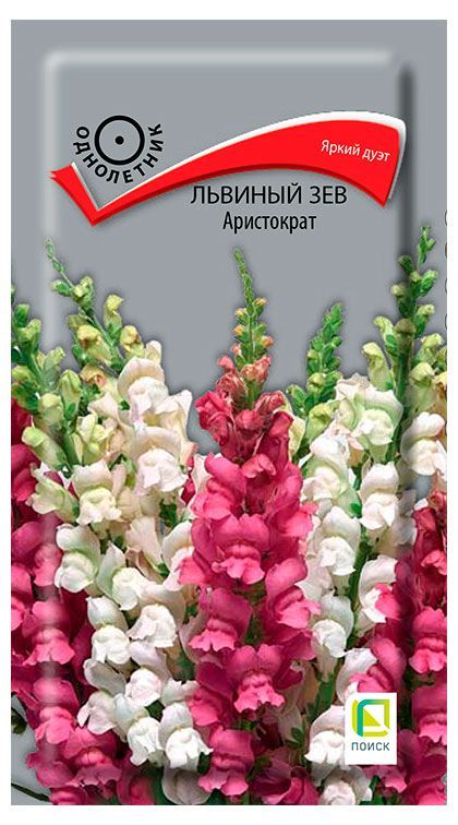 

Семена Львиный зев Аристократ Поиск 0,1 г
