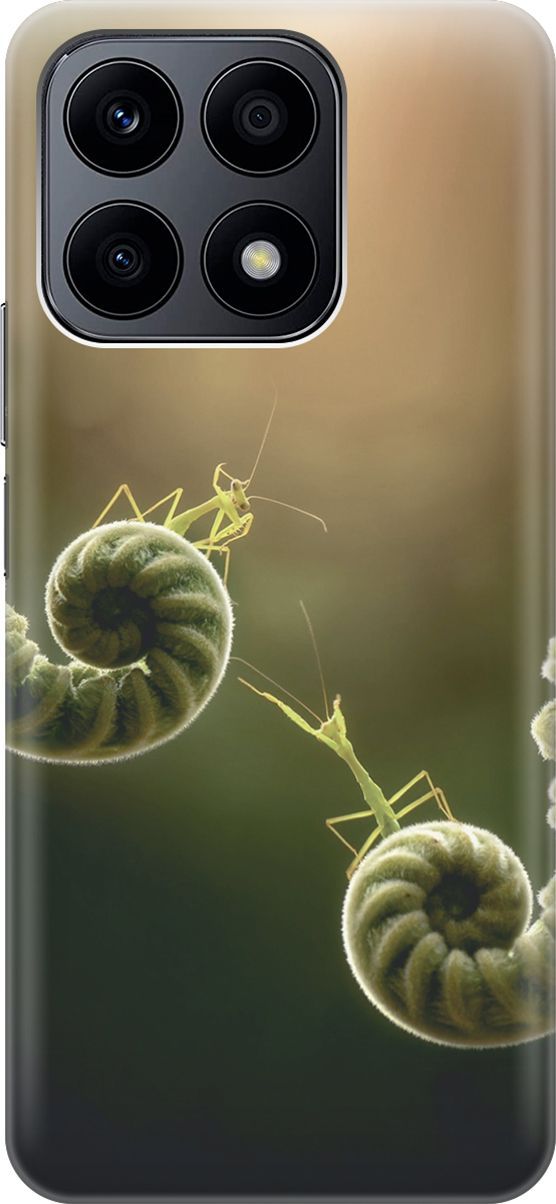 

Силиконовый чехол на Honor X8a с принтом "Пара богомолов", Бежевый;зеленый, 158881
