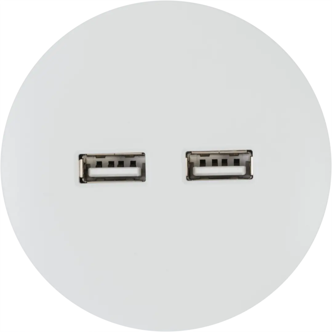 Розетка для трека 2 USB 2.1 цвет белый коннектор для трека unity белый tra011 1 a w