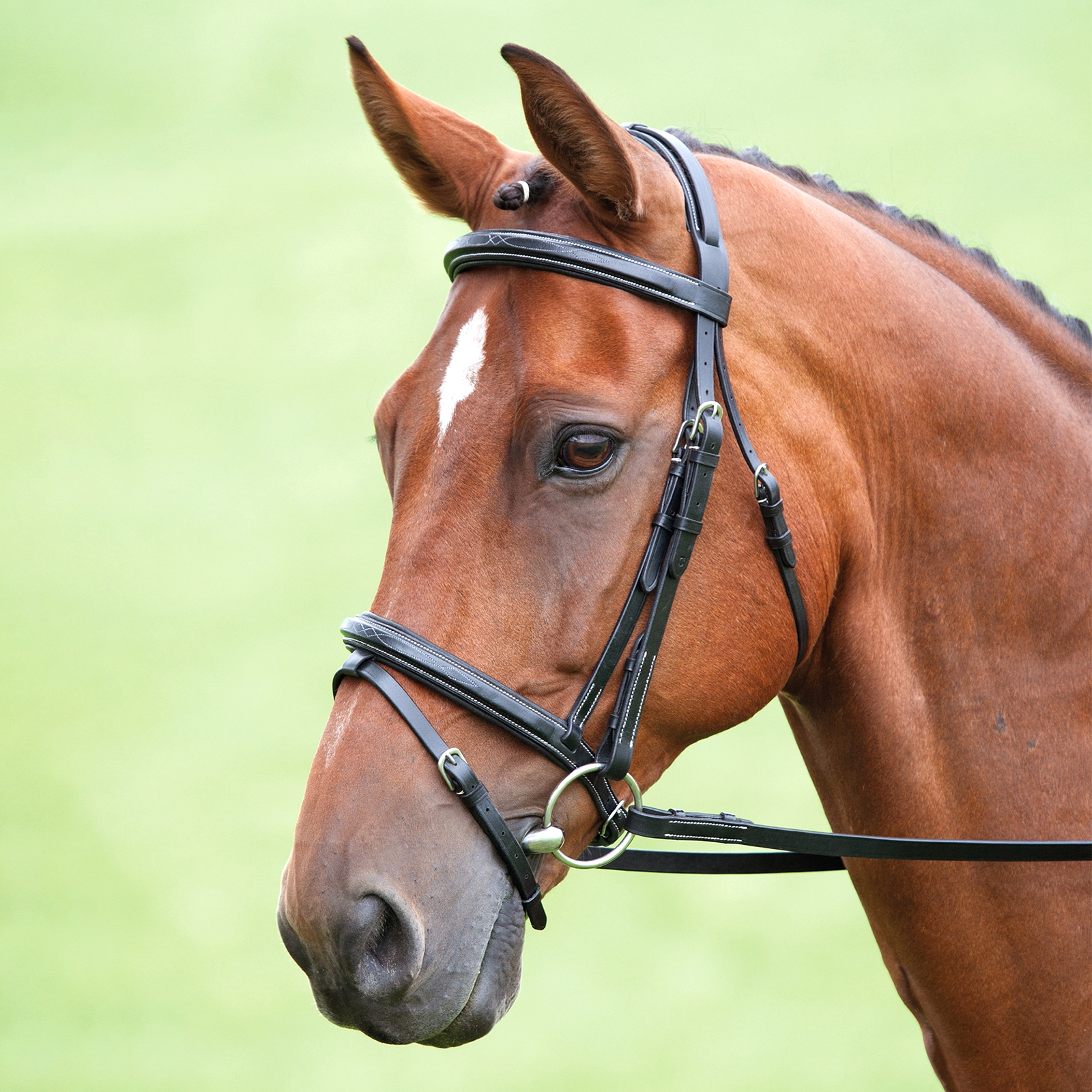 

Оголовье для лошади SHIRES SALISBURY Bodenham, XFULL, чёрный, Черный