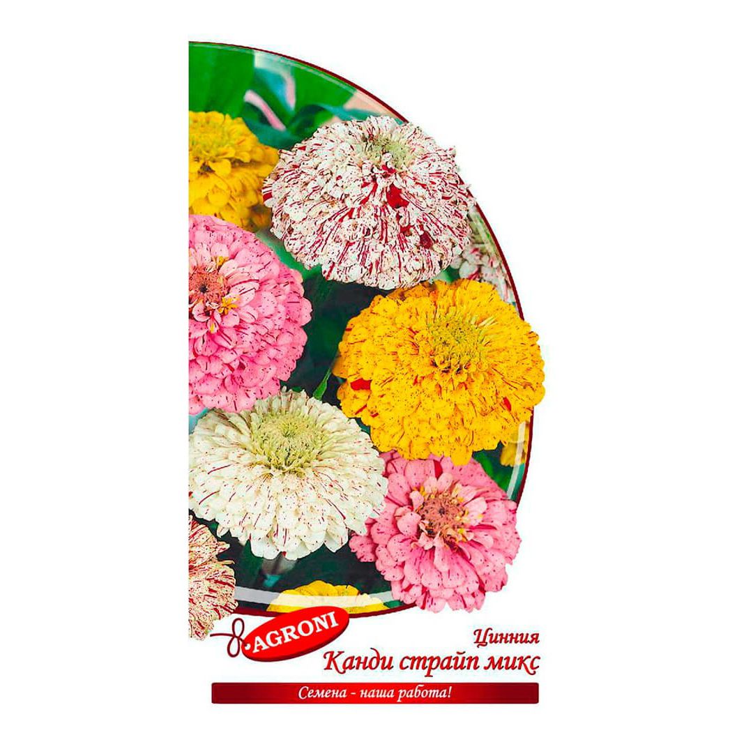 

Семена цинния Канди Страйп Agroni 1 уп.