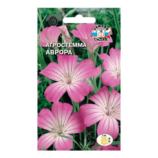 

Семена агростемма Аврора СеДеК 1 уп.