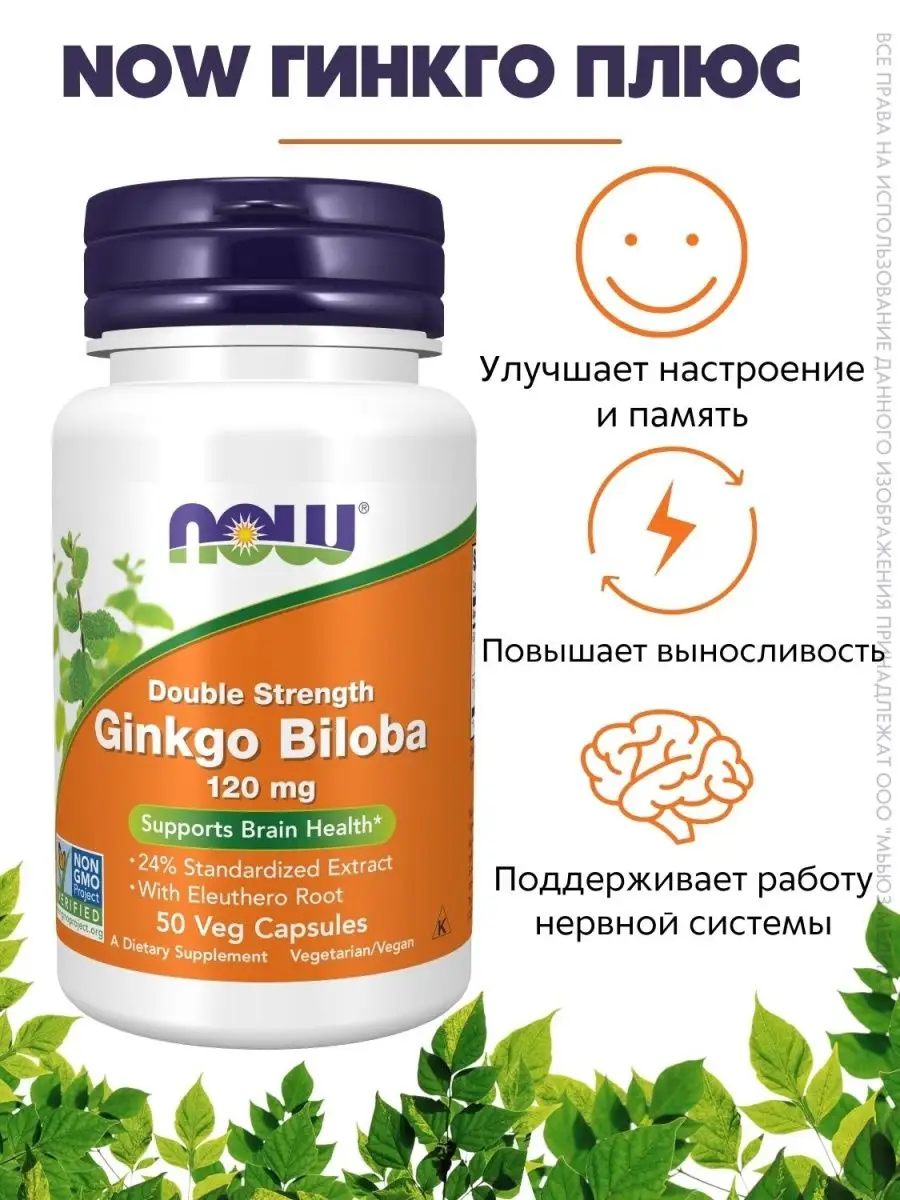 

NOW Гинкго Плюс 500 мг 50 капсул
