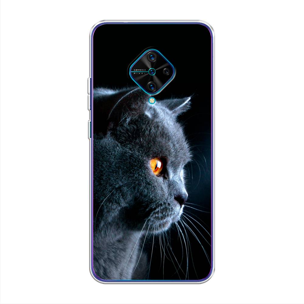 

Чехол Awog на Vivo V17 "Благородный кот британец", Разноцветный, 261550-2