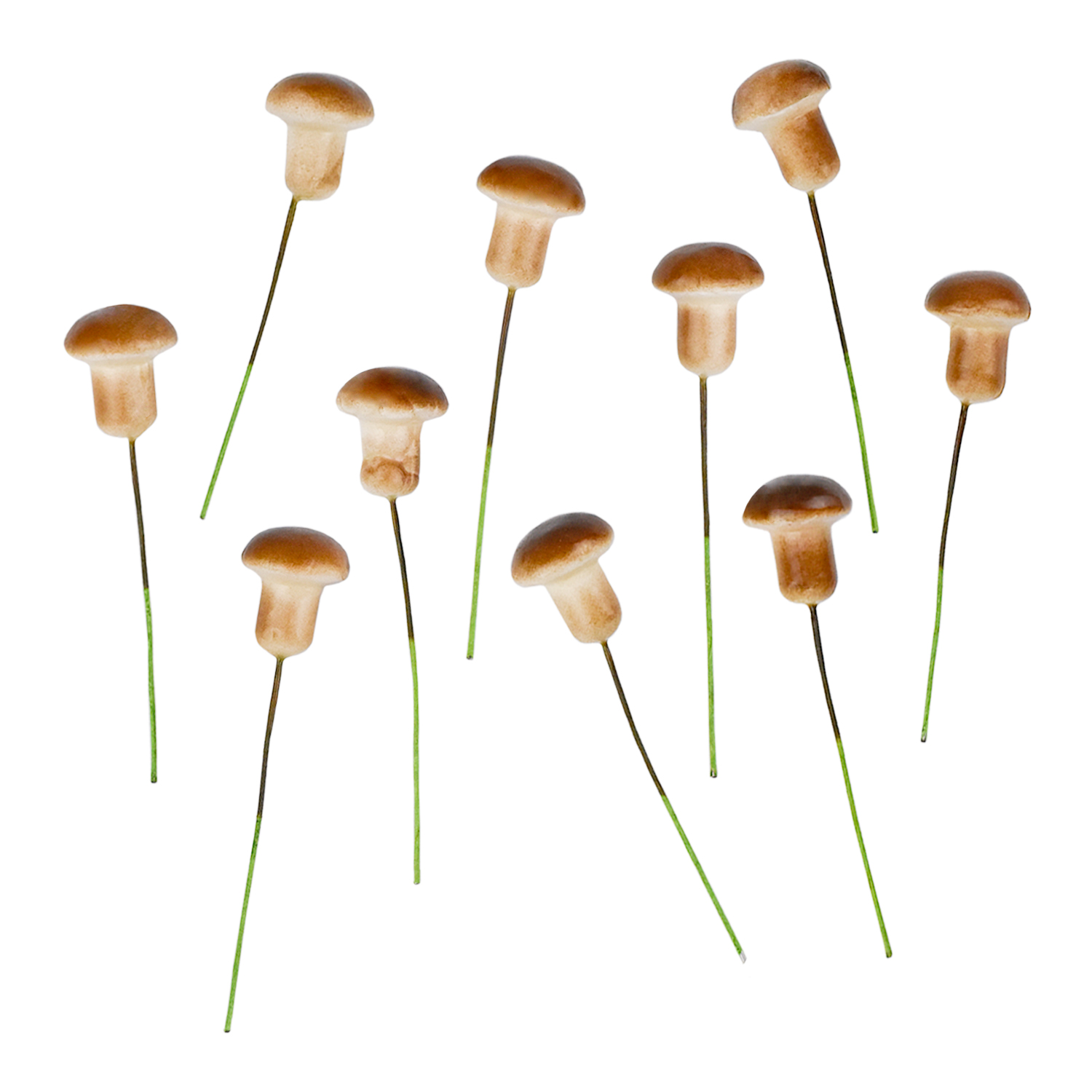 

Муляж декоративный Дамское счастье Грибочек белый 2 см , 10 шт, Белый;коричневый, гриб белый