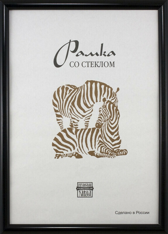 

Рамка пластиковая Зебра А3 (черный) 508