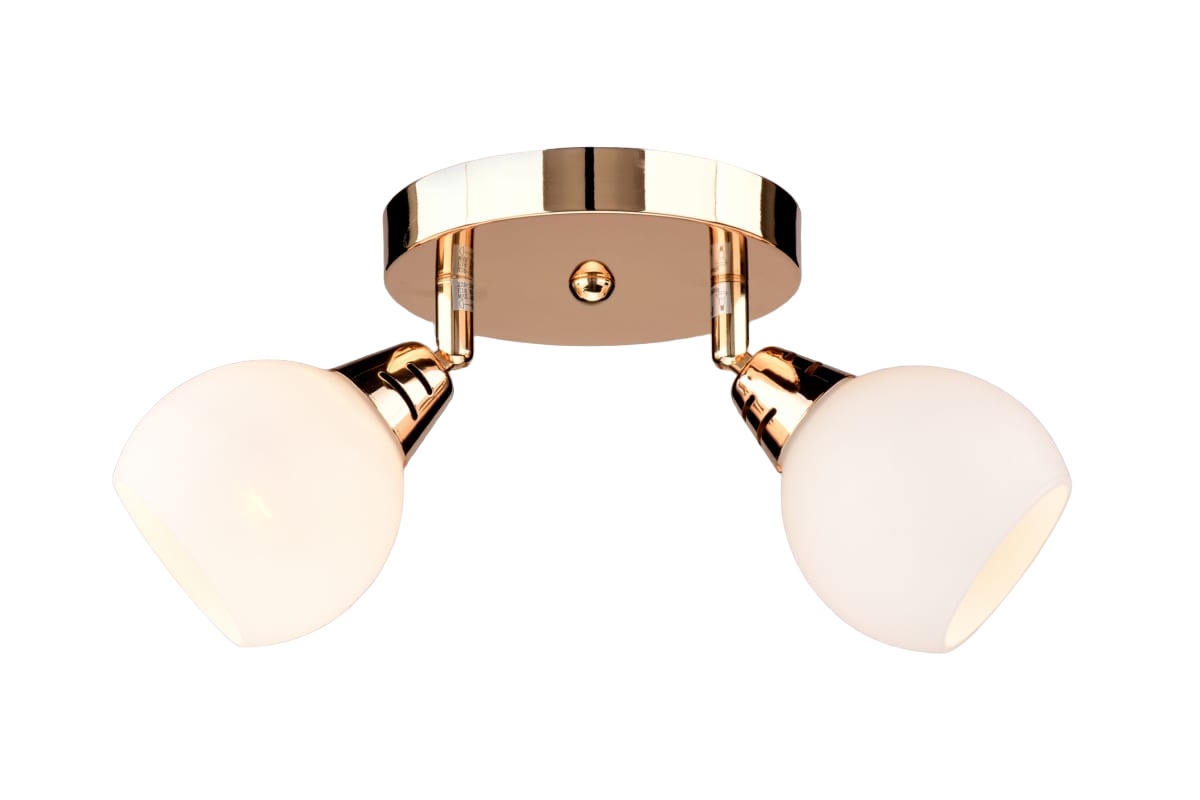 

Светильник РС17260 CG/2S, РС17260 CG/2S