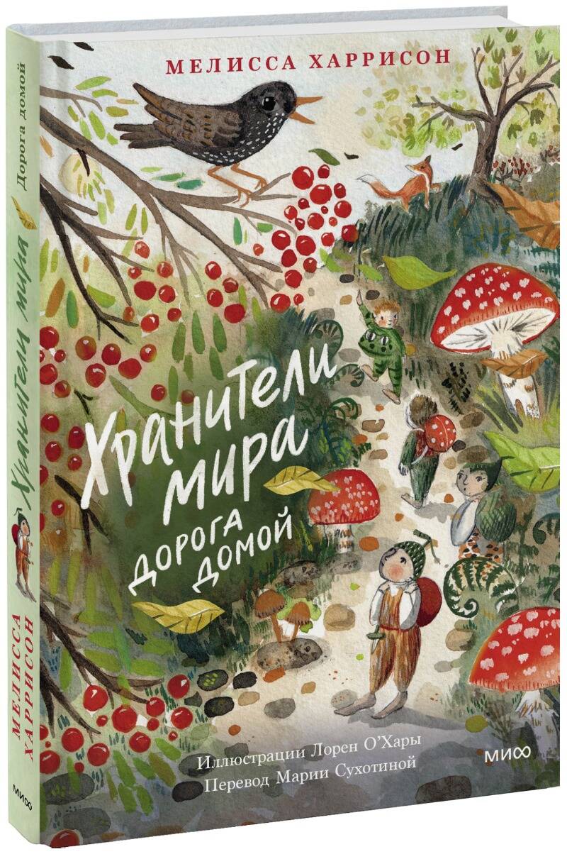 

Хранители мира. Дорога домой