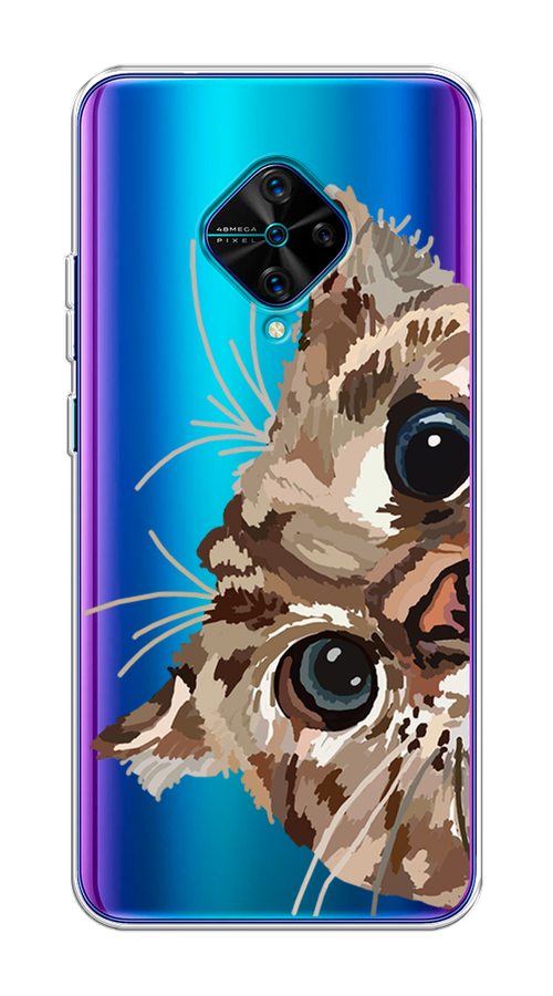 

Чехол на Vivo V17/Y9s "Любопытный кот", Коричневый;синий;черный, 261550-1