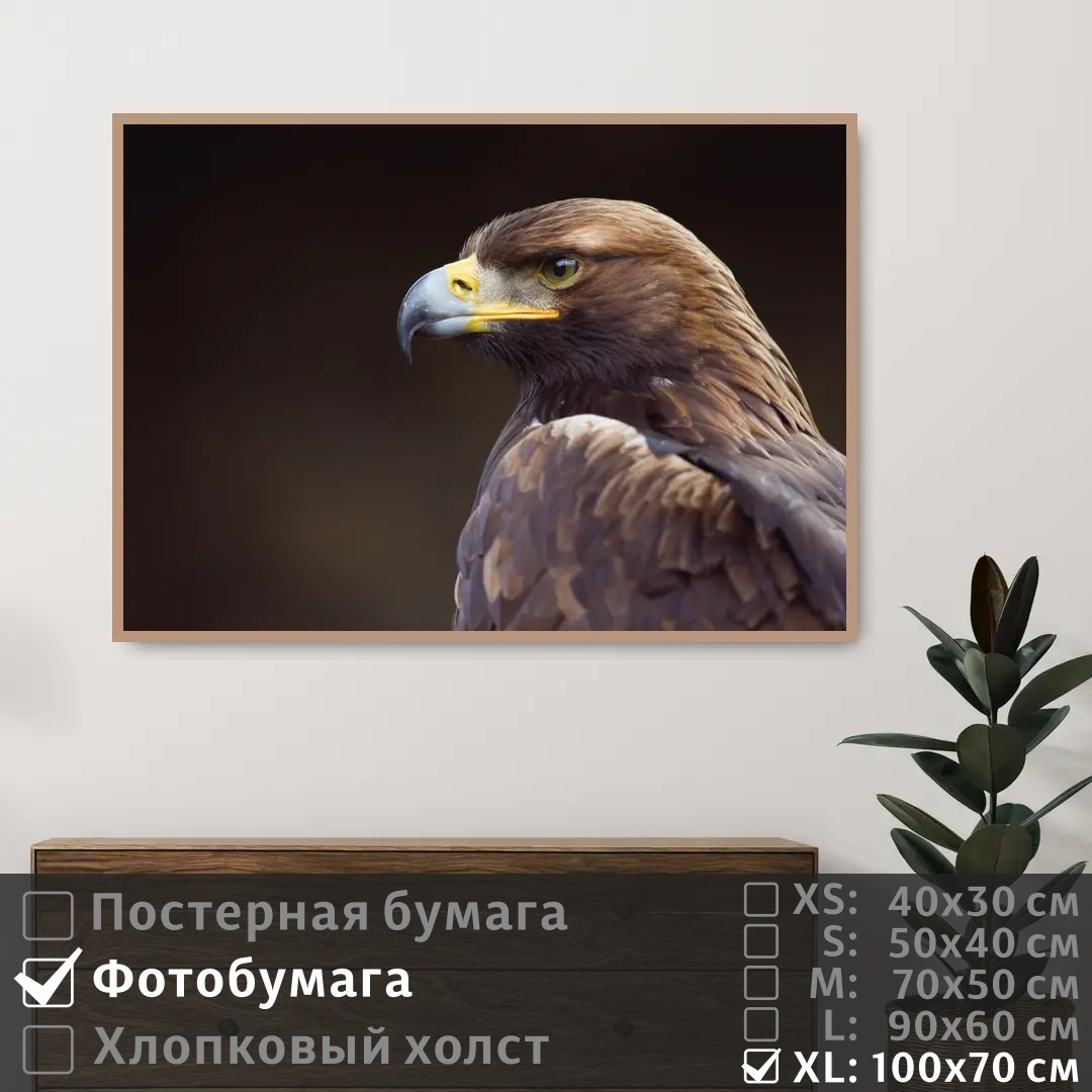 

Постер на фотобумаге ПолиЦентр Орел смотрит вдаль 100х70 см, ОрелСмотритВдаль1