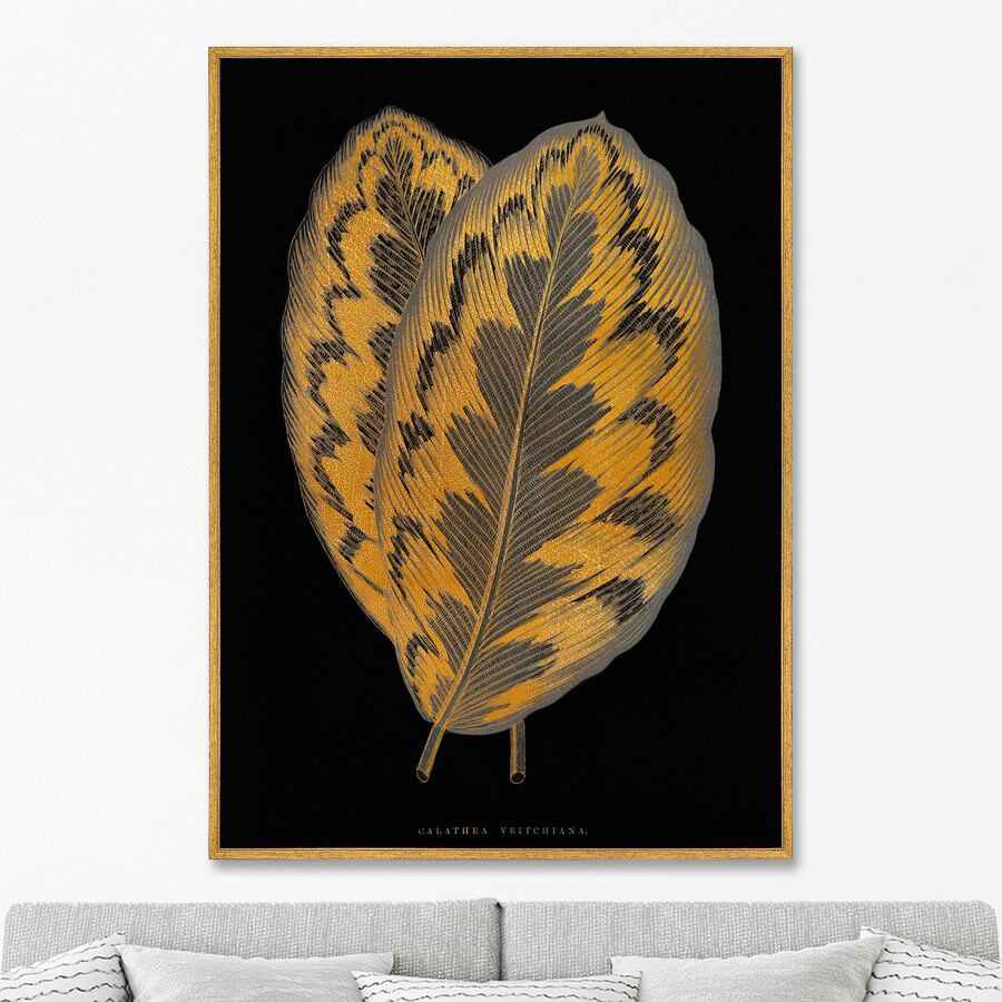 

Репродукция картины на холсте Calathea Veitchiana leaf 1865г. 75х105см