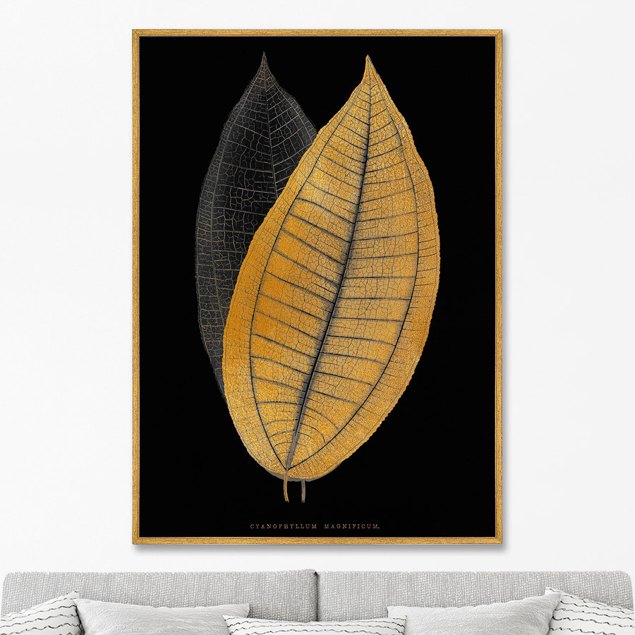 

Репродукция картины на холсте Calophyllum inophyllum leaf 1865г. 75х105см