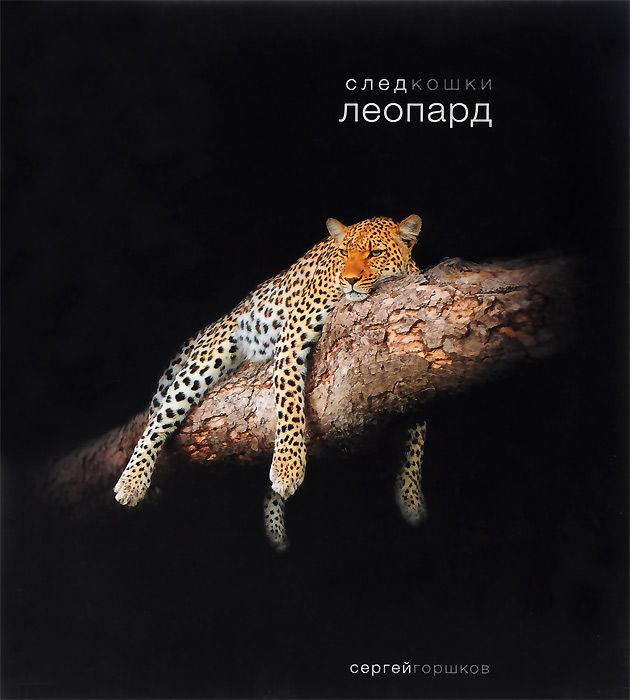 

Книга След кошки. Леопард