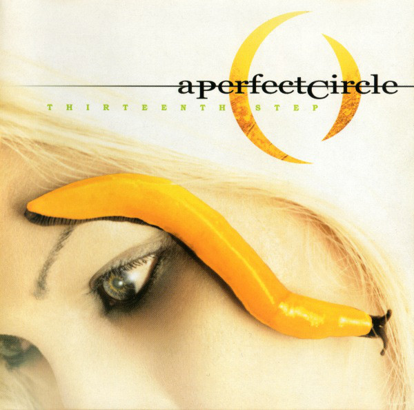 

A Perfect Circle Thirteenth Step