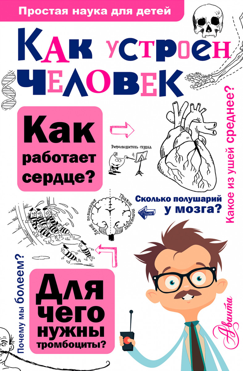 

Как Устроен Человек