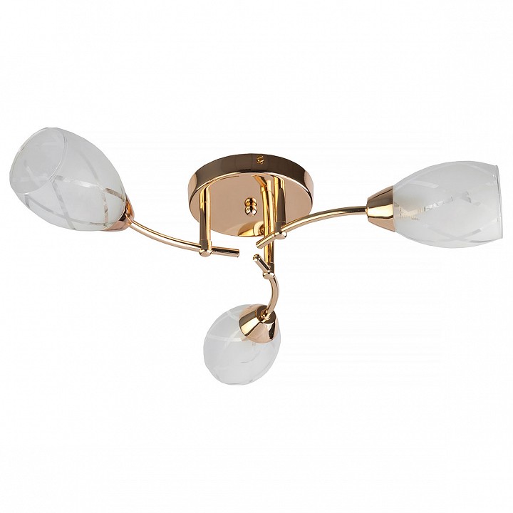 

Люстра потолочная TopLight TL7120X-03FG