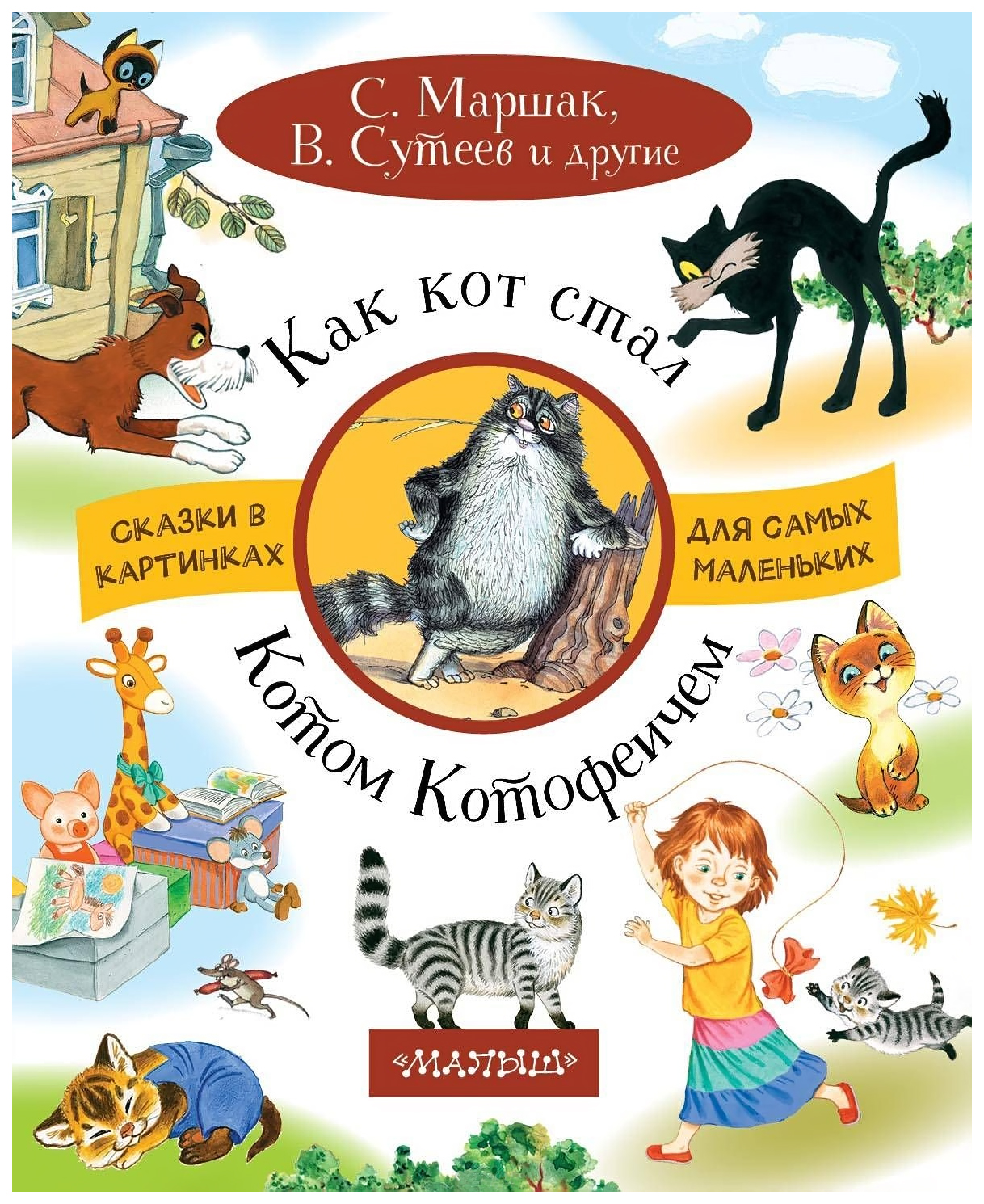 

Как кот Стал котом-Котофеичем