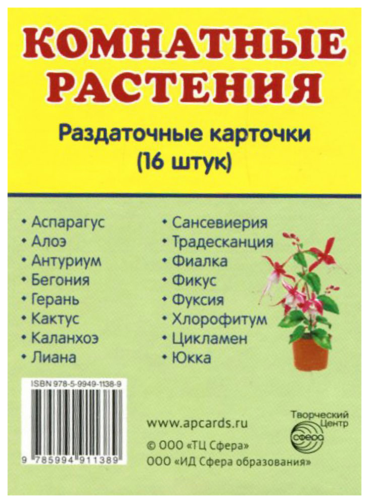 Карточки комнатные растения