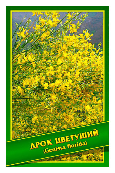 

Семена Дрок Цветущий, 0,1 г Симбиоз