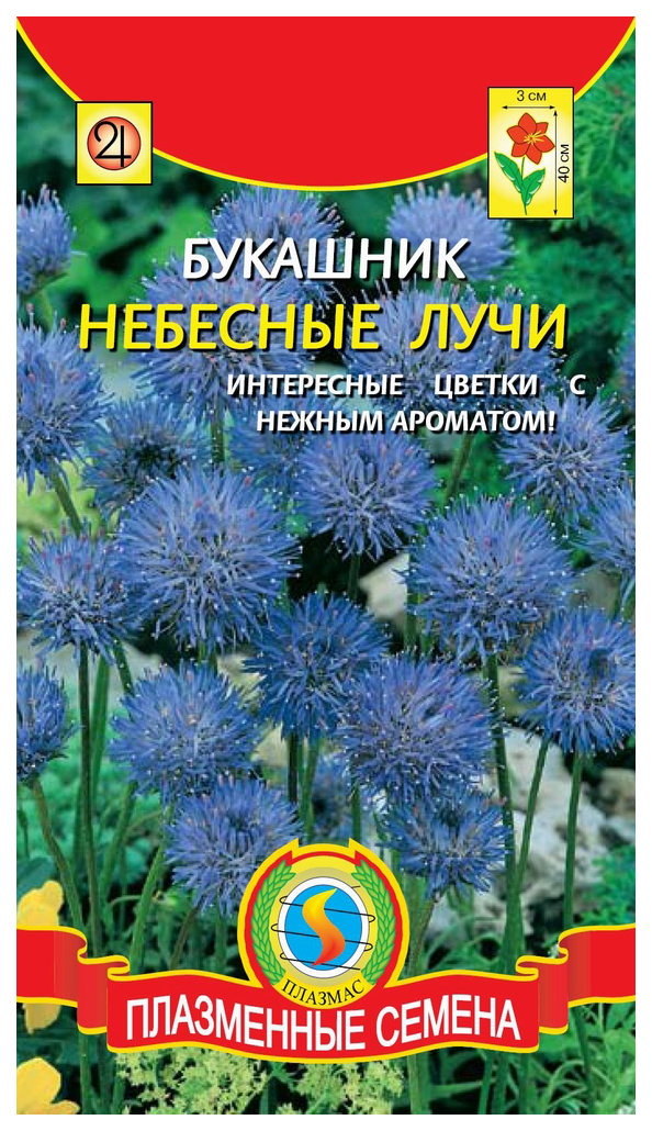 

Семена Букашник Небесные лучи, 80 шт, Плазмас