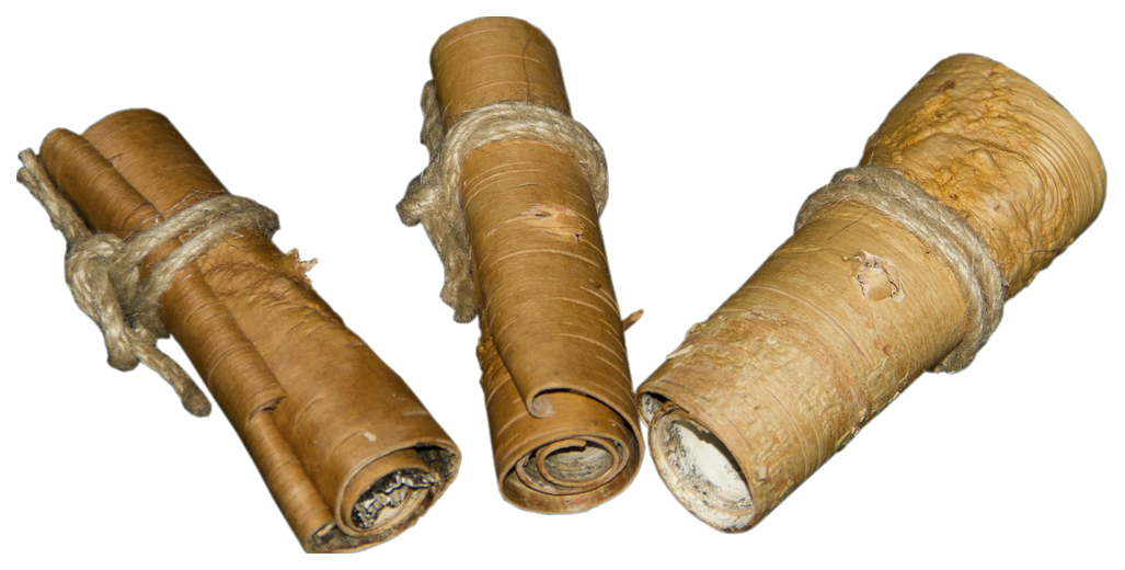 

Вертушка для попугаев ParrotsLab PL1061, бежевый, 3х3х10 см, PL1061