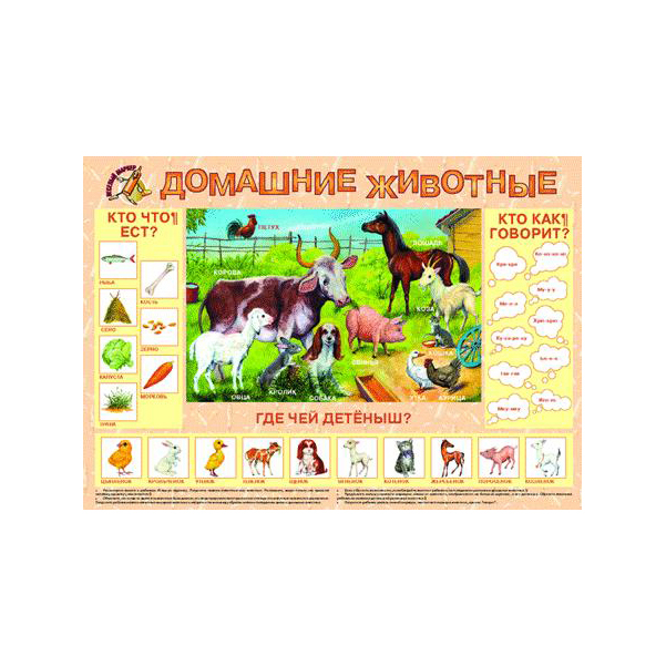 

Маленький Гений плакат Маленький Гений Домашние Животные