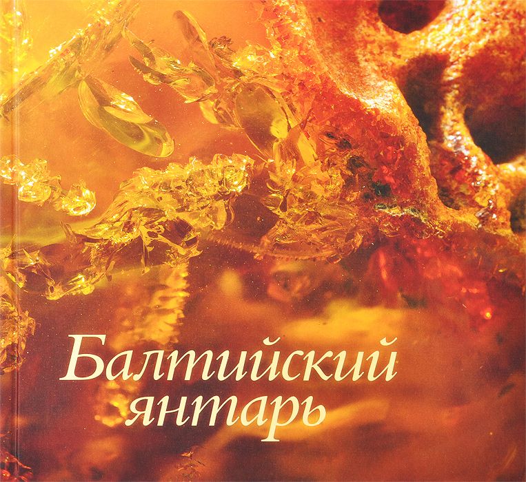 

Книга Балтийский янтарь