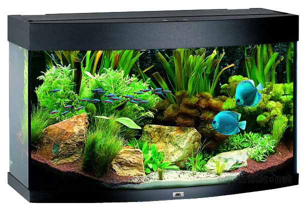 

Аквариум для рыб Juwel Vision 260 LED, черный, 260 л