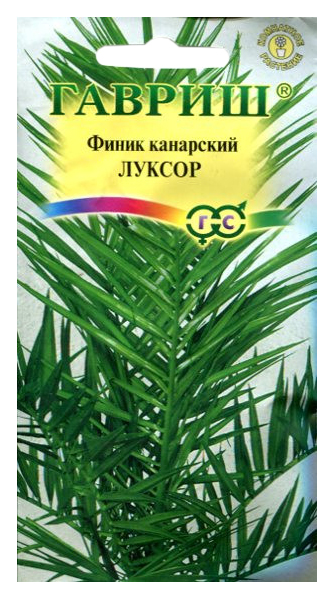 

Саженцы финик Гавриш Луксор 147001 1 шт.