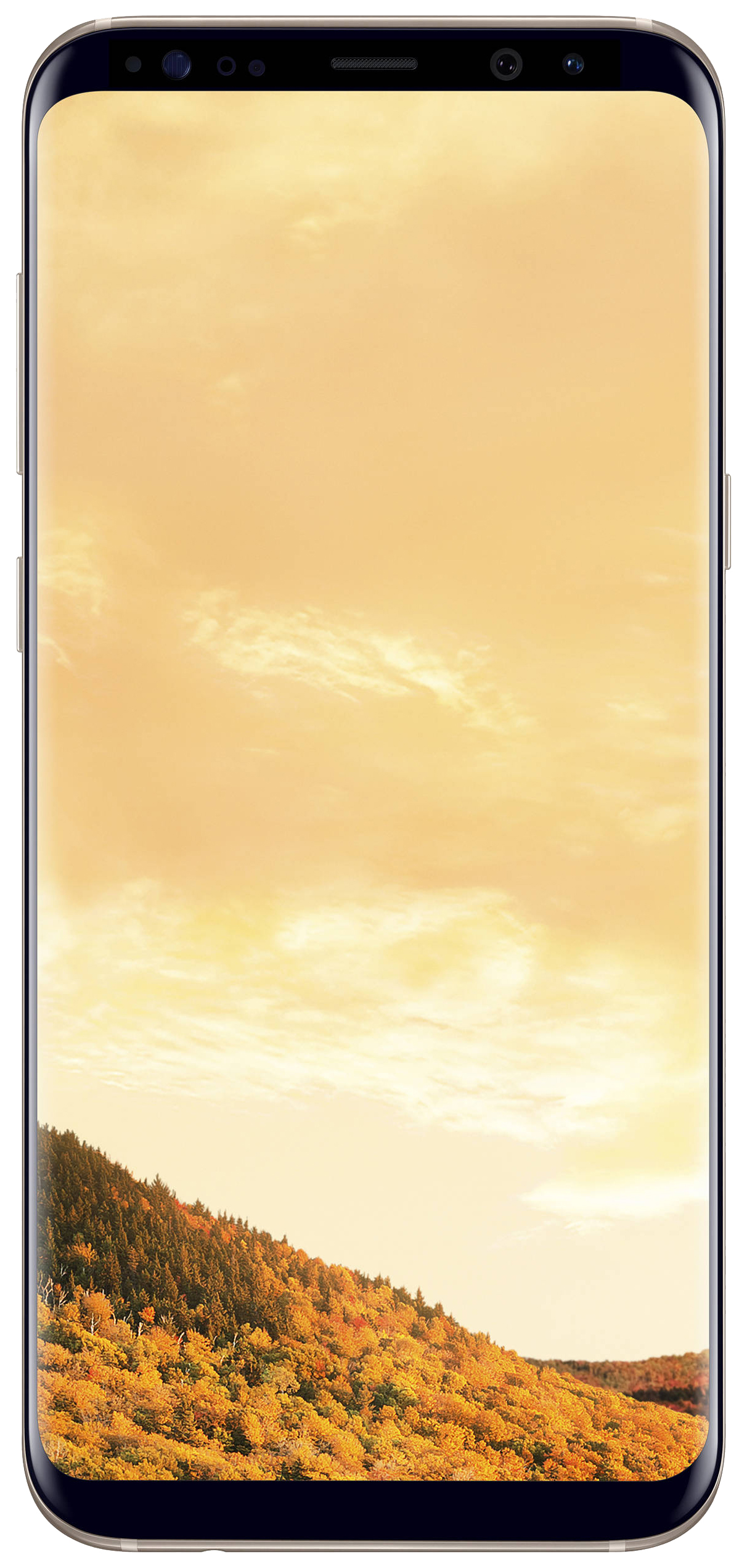 

Смартфон Samsung Galaxy S8+ 4/64GB Gold (SM-G955FZDDSER), Galaxy S8+